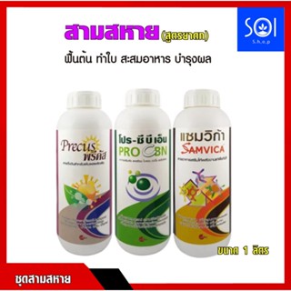 สามสหาย - ฮอร์โมนเพิ่มผลผลิตพืช (1ลิตร) พริก มัน อ้อย ผัก ผลไม้ ดอกไม้ กล้วยไม้ ฮอร์โมนลำไย บำรุงลำไย