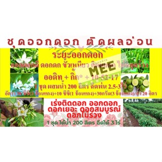 เร่งดอก ออกดอก ดอกดก ดอกไม่ร่วง ขั้วเหนียว ดอกสมบูรณ์ ติดทุกดอก ออกทุกช่อ พร้อมติดผล ออกลูก ฟรีปุ๋ยเกร็ด ชุดน้ำ200ลิตร