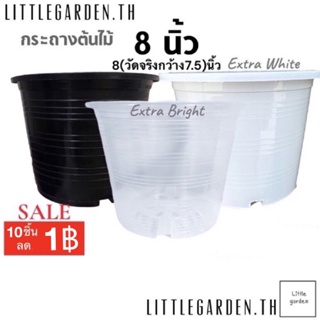 Little กระถางแคคตัส 8 นิ้ว (วัดจริงกว้าง 7.5 นิ้ว)