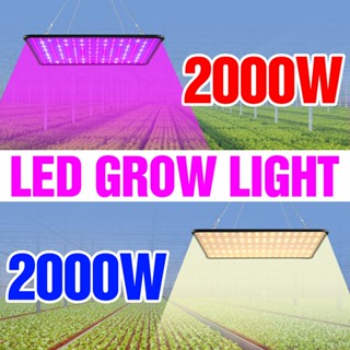 โคมไฟช่วยการเจริญเติบโตของพืช LED 2000W 110V สําหรับปลูกพืชเรือนกระจก ดอกไม้ 220V