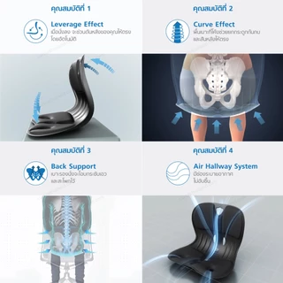 เบาะรองนั่ง รองหลัง Curble รุ่น WIDER นั่งพื้น รองนั่งรถยนต์ ออฟฟิศซินโดรม ปวดหลัง ปวดเอว ปวดสะโพก