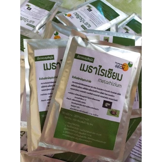 เมธาไรเซียม กำจัดด้วง ปลวกทุกชนิด ชนิดผงพร้อมใช้ ขนาด 100 กรัม