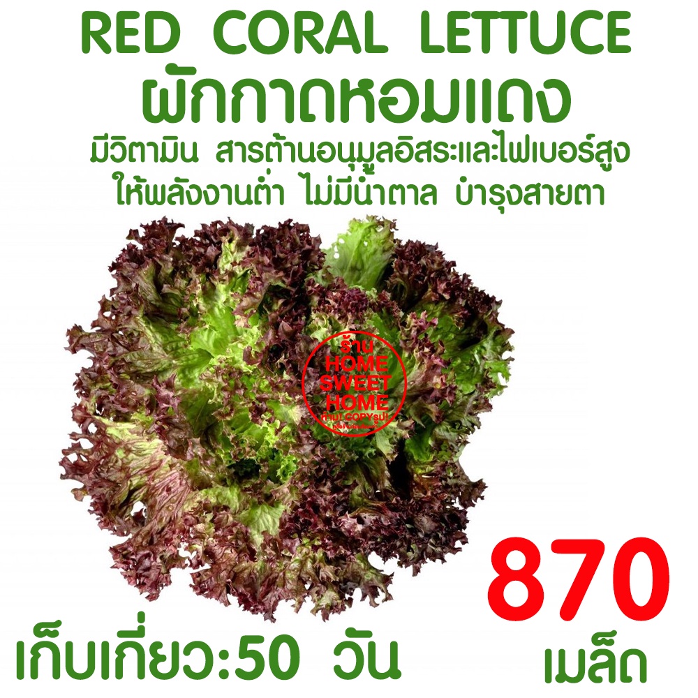 รูปภาพ 8