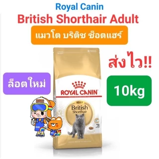 Royal Canin British Shorthair Kitten 10kg / British Shorthair Adult 10kg อาหารแมว ลูกแมว บริติช 10 กก.