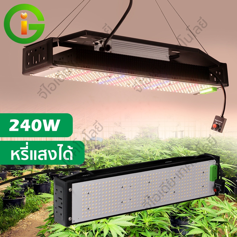 ไฟปลูกต้นไม้ LED หรีแสงได้ LM281B Quantum  2400W ช่วยต้นกล้า  แสงอาทิตย์ เหมาะสำหรับต้นกล้า ไฟเลี้ยงต้นไม้โตเร็ว2