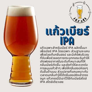 แก้วเบียร์ IPA (มีสินค้าพร้อมจัดส่งในไทย)