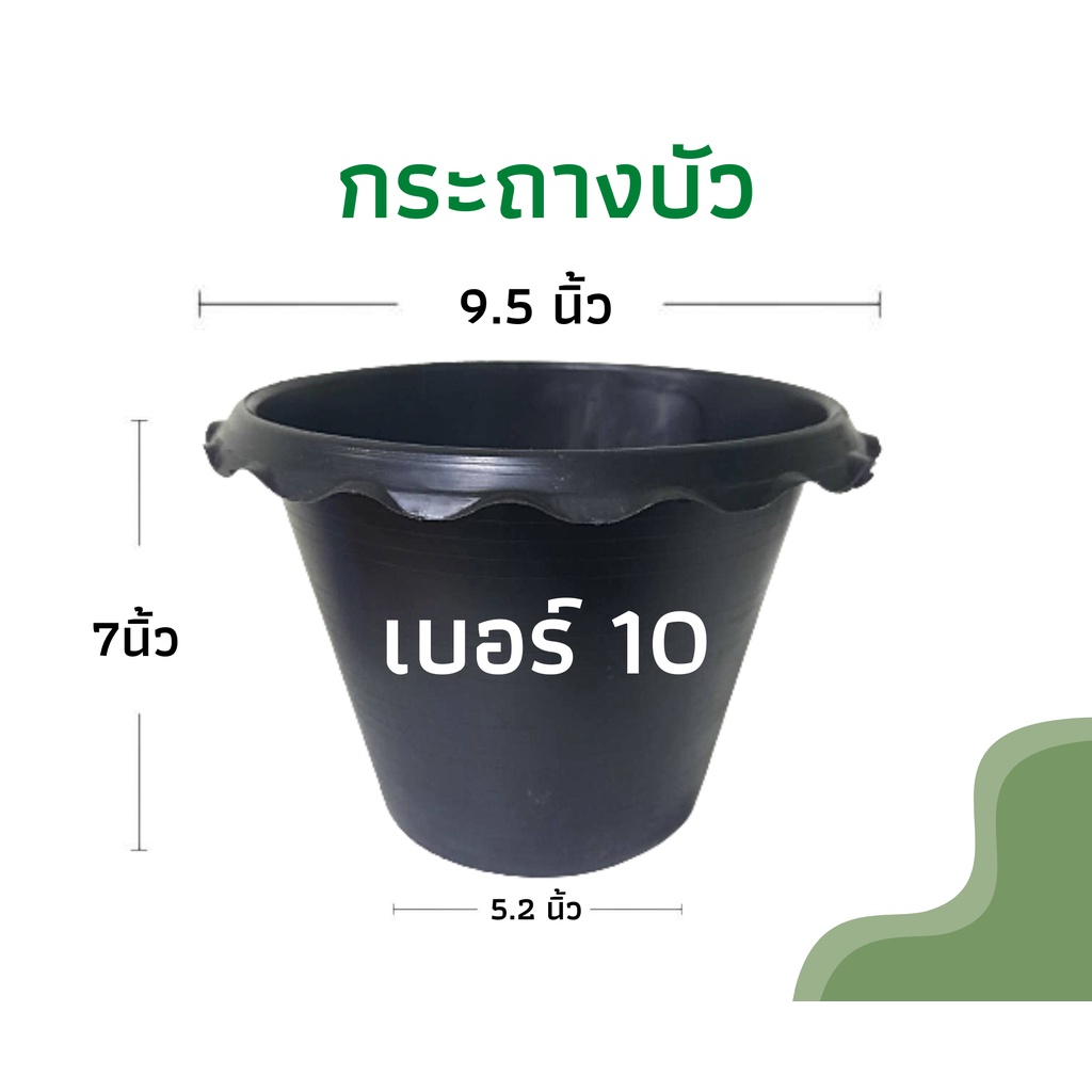 กระถางบัว เบอร์10 กระถางพลาสติก ไม่มีรู กระถางปลูกไม้น้ำ สีดำ