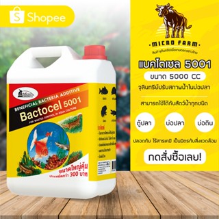 Bactocel 5001 แบคโตเซล 5001 5000 ml. 1 แกลลอน จุลินทรีย์รักษาสภาพน้ำในบ่อปลา จุลินทรีย์น้ำใส น้ำใส น้ำมีกลิ่นเหม็น