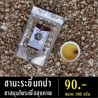 ชามะระขี้นกป่า 100 กรัม ชามะระขี้นก ชามะระ มะระขี้นกป่า มะระขี้นก