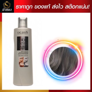 พร้อมส่ง 200ml Dcsh Salon Artist Silver Shampoo ดีแคช โปรเฟสชั่นนอล ซาลอน อาร์ตติสท์ ซิลเวอร์ แชมพู แชมพูเทา แชมพูม่วง