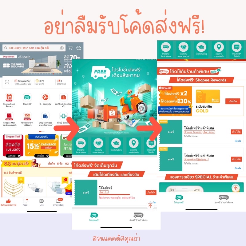 หางลิง แคคตัส กระถางละ 25 บาท คละแบบตามตัวอย่างนะคะ ส่งทั้งกระถาง - รูปที่ 7