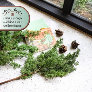 ซีดาร์ไพน์ กิ่งสนเทียม | Cedar Faux Pine Branch ตกแต่ง จัด แจกัน ตกแต่งร้าน บ้าน คาเฟ่ ไม่ต้องรดน้ำ