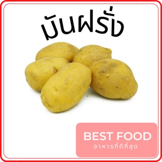 มันฝรั่ง  potato ราคาถูก