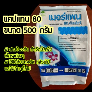 👍แคปแทน 80 ขนาด 500 กรัม (เมอร์แพน 80 ดับบลิวจี) กันเชื้อราต่างๆ ในกระบองเพชร กล้วยไม้ ไม้อวบน้ำ หรือไม้ทั่วไปอื่นๆ