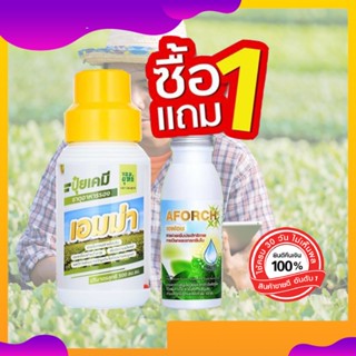 ปุ๋ยน้ำเอมม่า เอมม่า ปุ๋ยเอมม่า ขนาด 500 ซีซี 1 ขวด (แถมฟรี เอฟอช100ซีซี 1 ขวด) ป้องกันเชื้อราในพืช ปุ๋ยน้ำสูตรเข้มข้น