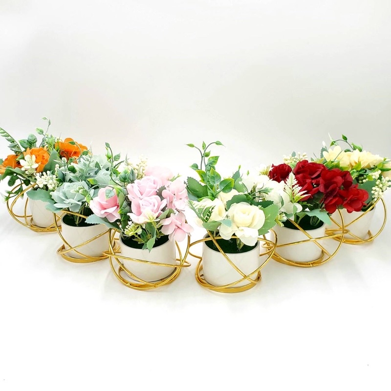 (2) ตกแต่งบ้าน ต้นไม