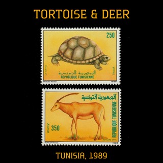 แสตมป์ตูนิเซีย ชุด TORTOISE - DEER ปี 1989 - TUNISIA