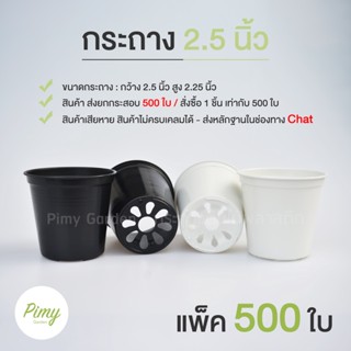 500 ใบ กระถางต้นไม้ 2.5 นิ้ว กระถางต้นไม้พลาสติก กระถางแคคตัส ยกกระสอบ ราคาส่ง