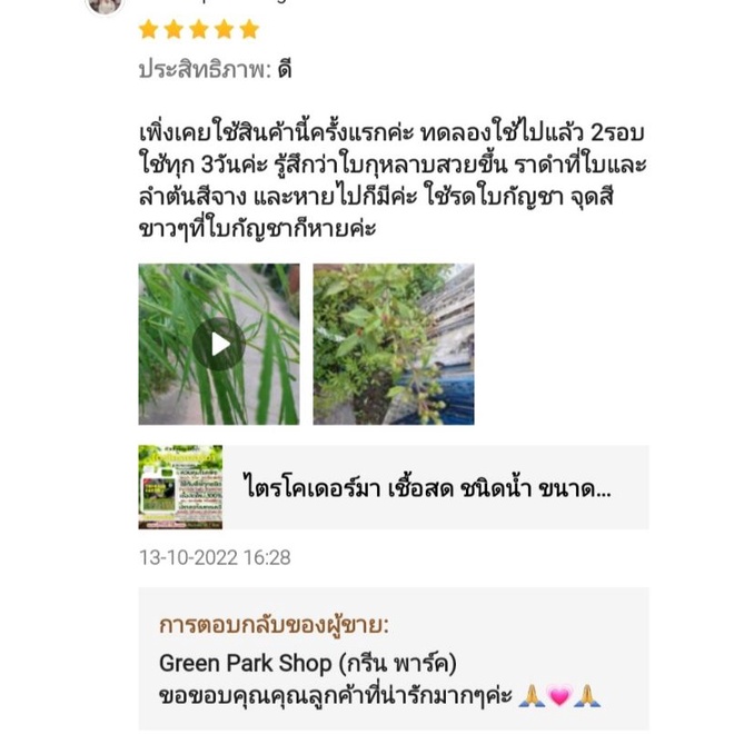 ไตรโคเดอร์มา เชื้อสด ชนิดน้ำ ขนาด 1 ลิตร กำจัดโรค เชื้อรา ราก โคนเน่า ใบหงิก ใบจุด ดิน ต้นไม้ Trichoderma green park รูปที่ 5