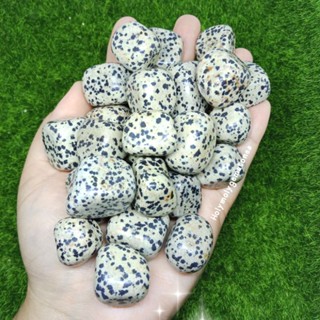 🌙พร้อมส่งน้า🌙♠Dalmatian Jasper♣