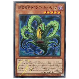 [DP22-JP050] Predaplant Drosophyllum Hydra (Common)