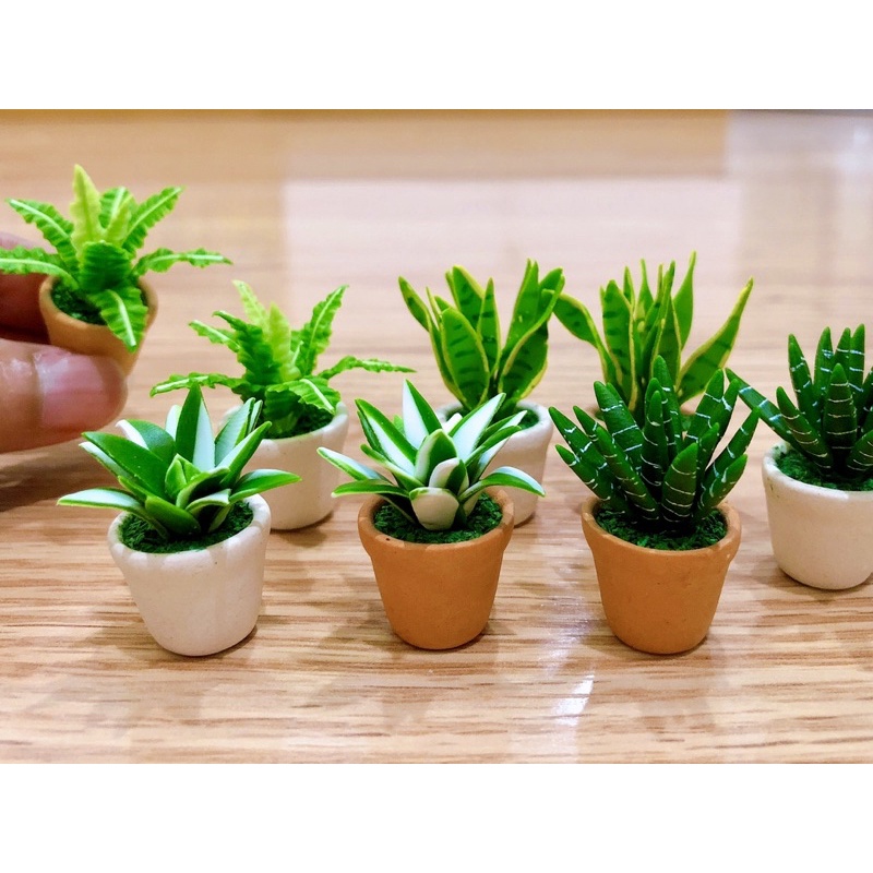 ดินปั้นไม้ใบจิ๋ว 4 แบบ ขนาด 2.5-3.5 cm. ราคา/ชิ้น