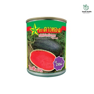 แตงโมตอปิโด ไทสัน042 ขนาด 40 กรัม ตราดาวทอง 🍉ผลทรงหมอน เนื้อสีแดงสด รสหวานกรอบ🍉