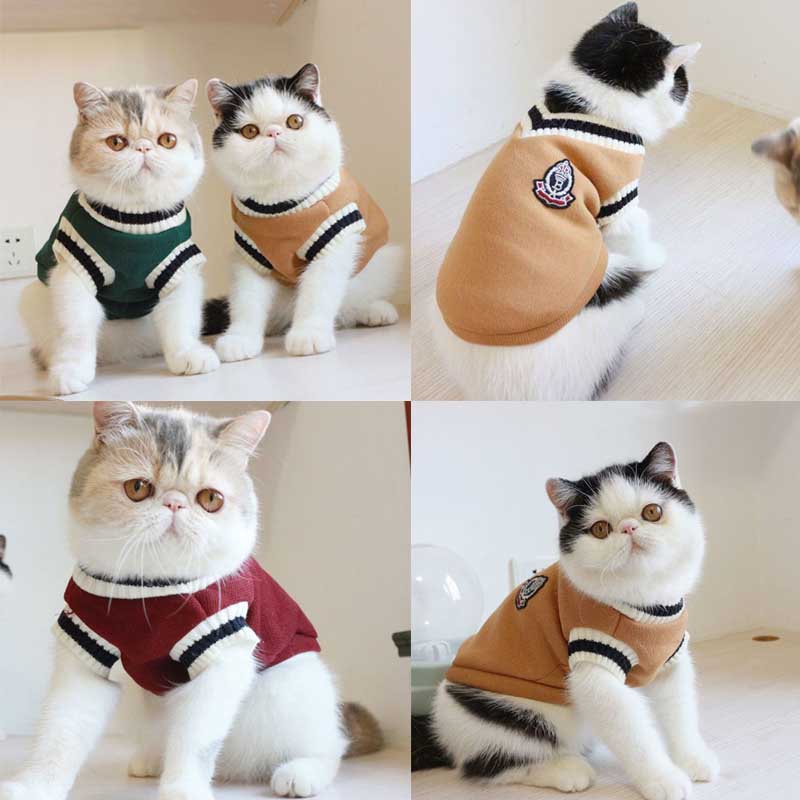 รูปภาพ 8