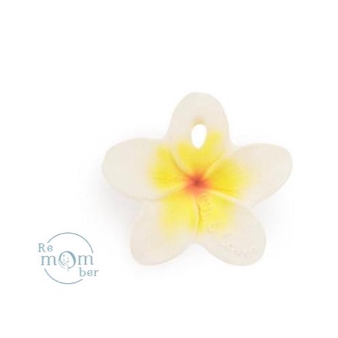 Oli &amp; Carol | Hawaii the Flower