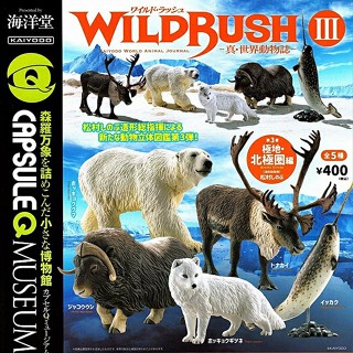 (มีของพร้อมส่ง) กาชาปองกวางเรนเดียร์ Gachapon Kaiyodo Capsule Q Museum Wild Rush Vol.02 โมเดลสัตว์