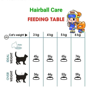 Royal Canin Hairball Care 10kg โรยัลคานิน อาหารแมว สูตรแฮร์บอล ช่วยลดปัญหาก้อนขน ถุงขนาด 10 กิโลกรัม