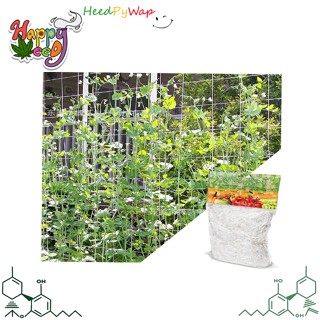 Plant trellis net เน็ตขึงต้นไม้ Trellis Netting 150x450cm / 150x900cm [SCROG Net] Nylon Trellis Support Anti-Bird Net