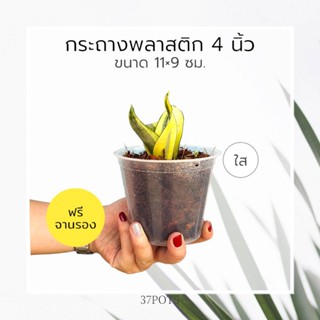 37POTS (ใส) ●ซื้อ 1 แถม 1● กระถางพลาสติก 4 นิ้ว ทรงสูง แถมฟรี จานรอง