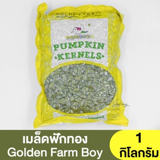 เม็ดฟักทอง ตรา Golden Farm Boy (แบ่งขาย 250g.-1kg.) Pumpkin Seeds