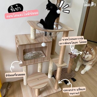 พร้อมส่งเเล้วนะ [ เเถมสินค้า ฟรี 1 ] คอนโดแมวไม้ มินิมอล ที่นอนแมว สูง135CM CAT-000