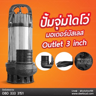 ปั้มจุ่มไดโว่ มอเตอร์บัสเลส (48/60V 1HP)