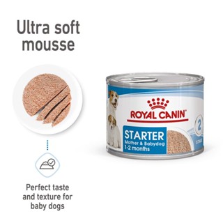 Royal Canin Starter Mousse อาหารสำหรับลูกสุนัข (195 g) 12 กระป๋อง