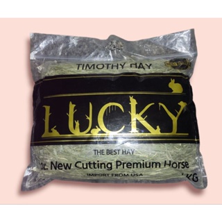 LUCKY Timothy Hay 1st. New Cutting Premium Horse