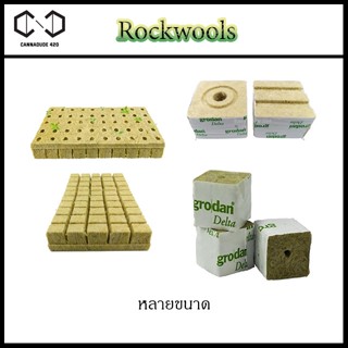 Rockwool 4cm / 4inch / 6inch / แบบแผ่น / ร็อควูล 3/5/10 ชิ้น เพาะปลูกต้นกล้าเมล็ดพันธ์ุ เพาะชำ ไฮโดรโปนิกส์ ROCKWOOLS