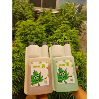 ปุ๋ยAB ทำใบ hydroponics / soilless/ coco/ดิน