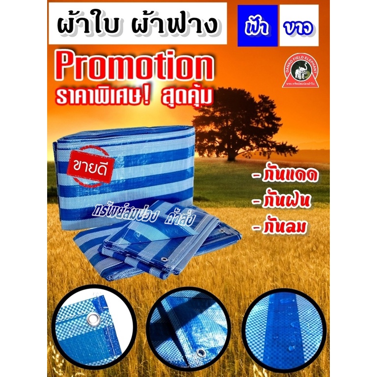 ผ้าเต็นท์ฟ้าขาว ผ้าพลาสติกขาวฟ้า ผ้าฟางกันแดด กันฝน ขนาด 2*3/3*3/3*4/4*5/4*6