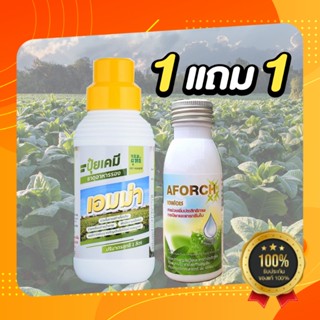 ปุ๋ยเอมม่า ปุ๋ยน้ำเอมม่า ขนาด 1000 ซีซี (ฟรีเอฟอช 100 CC 1 ขวด) ป้องกันเชื้อราในพืช  เพิ่มความแข็งแรงให้กับพืช