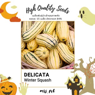 เมล็ดฟักทองนำเข้า สายพันธุ์ Delicata Winter Squash