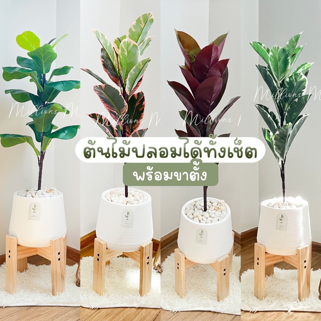 ต้นไม้ปลอม (แถมฟรีหิน!!) ได้ทั้งเซ็ตพร้อมขาตั้ง กระถางใหญ่7นิ้ว ตกแต่งบ้าน คอนโด