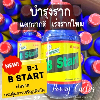 B1 น้ำยาเร่งราก ขนาด 100 500 cc. เร่งราก เเคคตัส กระบองเพชร ต้นไม้ทุกชนิด บำรุงราก