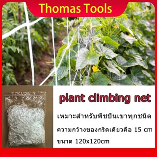 ตาข่ายปลูกต้นไม้  มุ้งปีนต้นไม้ มุ้งปีนสวน มุ้งรองรับพืช มุ้งดึงพืช plant climbing net Support Fence Mesh Net