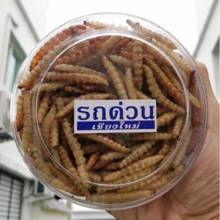 หนอนรถด่วน รถด่วนอบ รถด่วนทอด ของฝากจากเมืองเชียงใหม่ อร่อยถูกใจ รสชาติดั้งเดิมกลมกล่อม