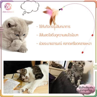 ไม้ตกแมว ของเล่นแมว สายยาว 66 ซม. ไม้ล่อแมว รุ่นปอมปอม มีกระดิ่ง/ ไม้แมว ขอเล่นแมว ไม้แมว ยาวสุด ไม้ตกแมวขนนก