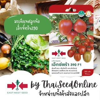 GGEW เมล็ดพันธุ์ มะเขือเทศลูกผสม เอ็กซ์ตร้า390 200เมล็ด ตราศรแดง มะเขือเทศลูกท้อ