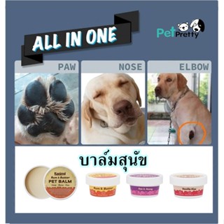 บาล์มสุนัข Kanimal All in one Balm  ทาอุ้งเท้า/ ข้อศอก และ จมูก ขนาด28.5 และ 30มล. (บาล์มทาเท้า)